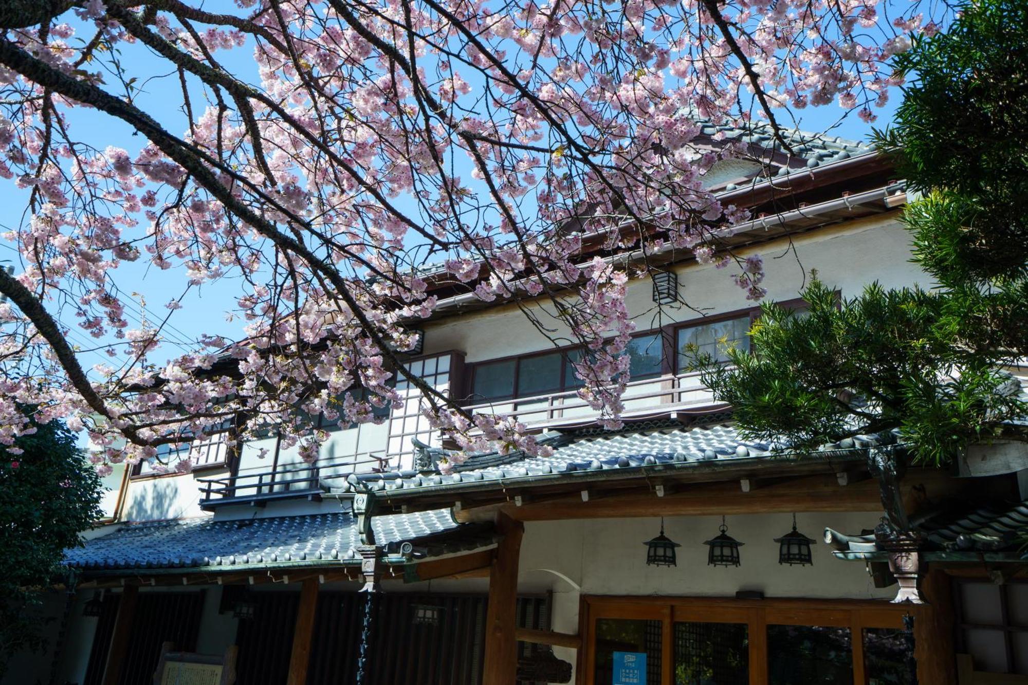 Sakahijiri Gyokushoen Izu  Zewnętrze zdjęcie
